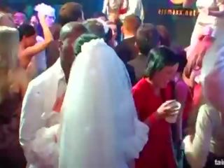 Groovy concupiscent brides suck big cocks in public
