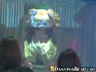 Dancing bear at birthday party