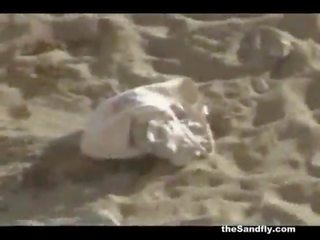 Thesandfly aficionado playa terrific sexo!